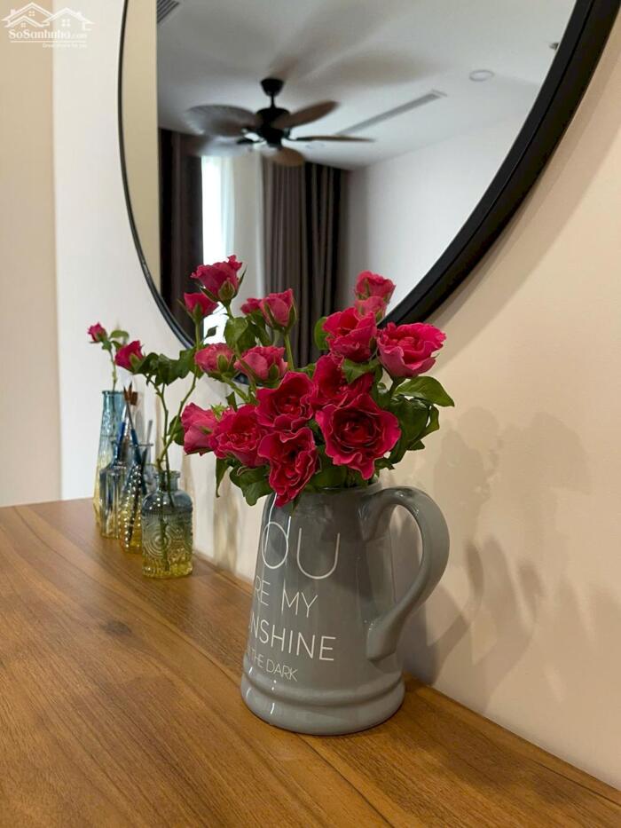 Hình ảnh Cho thuê căn hộ 3 ngủ , có sân vườn - chung cư Solforest , khu đô thị Ecopark - Đủ đồ 3