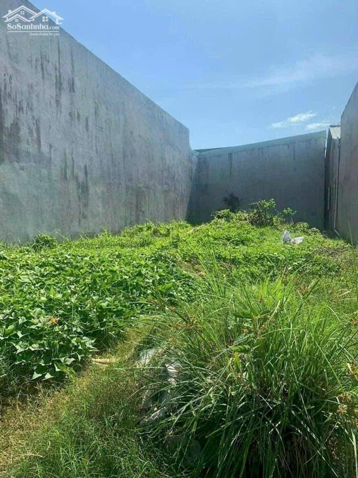 Hình ảnh Gia đình cần bán gấp lô đất mặt tiền 5m5 Trần Khát Chân , Phường Mân Thái , Quận Sơn Trà ⭐⭐⭐⭐ 0