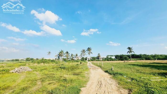 Hình ảnh bán gấp 1000m2 phủ hồng, sổ riêng, đường rộng 6m, cách biển LaGi 1km. giá rẻ 1,1 tỷ 0