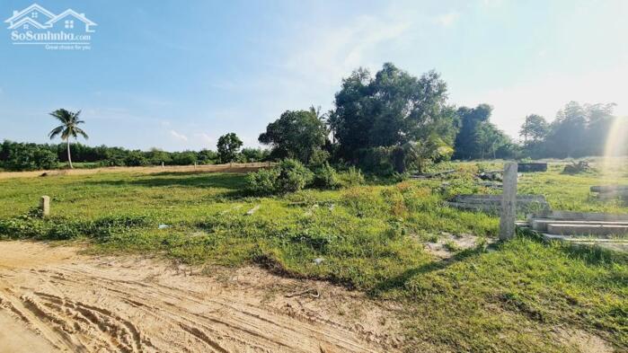 Hình ảnh bán gấp 1000m2 phủ hồng, sổ riêng, đường rộng 6m, cách biển LaGi 1km. giá rẻ 1,1 tỷ 2