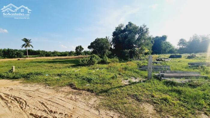 Hình ảnh bán gấp 1000m2 phủ hồng, sổ riêng, đường rộng 6m, cách biển LaGi 1km. giá rẻ 1,1 tỷ 3