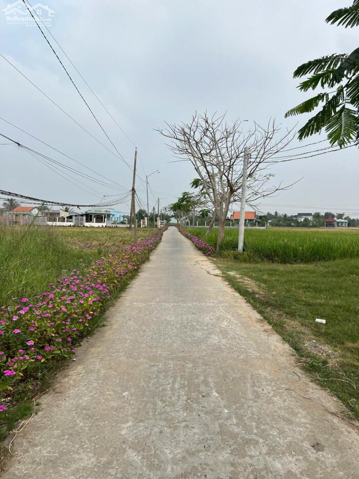Hình ảnh Đất thổ mt xe hơi 160m2 xã Tân Lân bán lỗ vốn 720tr 0