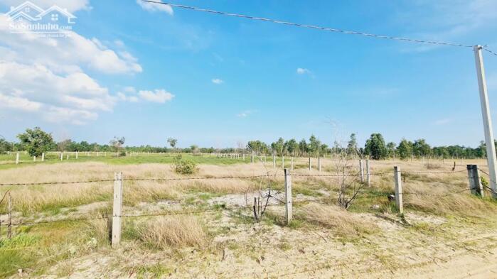 Hình ảnh bán đất 1000m2 mặt tiền đường số 1 rừng vàng, Tân Bình, LaGi, Phủ Hồng, Gần Biển, Giá Rẻ 2,3 tỷ 2