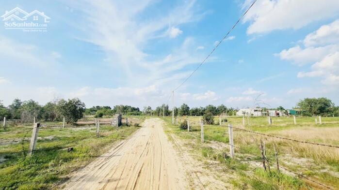 Hình ảnh bán đất 1000m2 mặt tiền đường số 1 rừng vàng, Tân Bình, LaGi, Phủ Hồng, Gần Biển, Giá Rẻ 2,3 tỷ 1