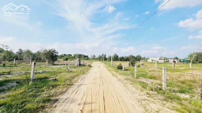 Hình ảnh bán đất 1000m2 mặt tiền đường số 1 rừng vàng, Tân Bình, LaGi, Phủ Hồng, Gần Biển, Giá Rẻ 2,3 tỷ 4