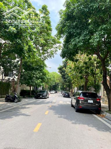 Hình ảnh Khu Biệt Thự Vườn Đào 150m² MT 13m, 57.5 Tỷ Ô TÔ Đỗ Xây Được 8 Tầng 0