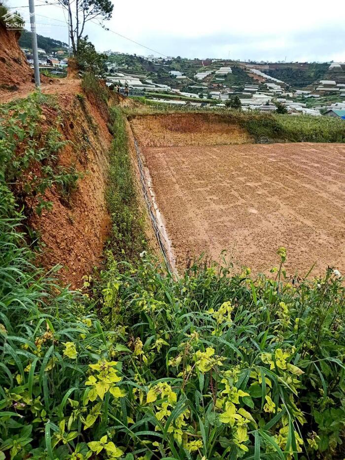 Hình ảnh BÁN NHANH 2 LÔ ĐẤT GIÁ TỐT – XUÂN THỌ, ĐÀ LẠT Giá : 4,879 tỷ 3