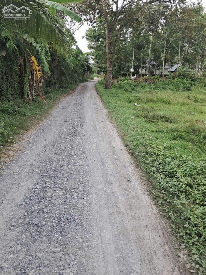 Hình ảnh 50triệu mua ngay nền đất mặt tiền ĐT787 giao đường HCM phường lộc hưng, sổ hồng 0