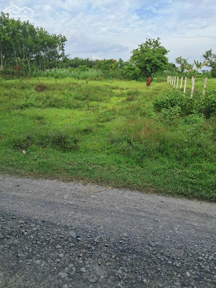 Hình ảnh 50triệu mua ngay nền đất mặt tiền ĐT787 giao đường HCM phường lộc hưng, sổ hồng 2