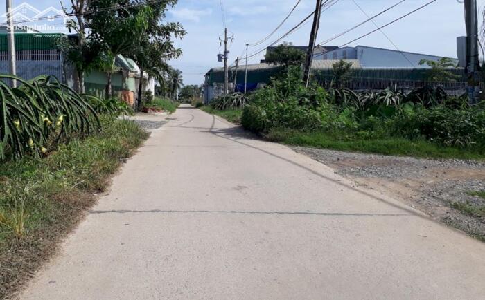 Hình ảnh Đại Hạ Giá-Nhiều đất Sào-Xã Tuyên Quang(Hàm Mỹ Cũ)-Tỉnh Lâm Đồng 0