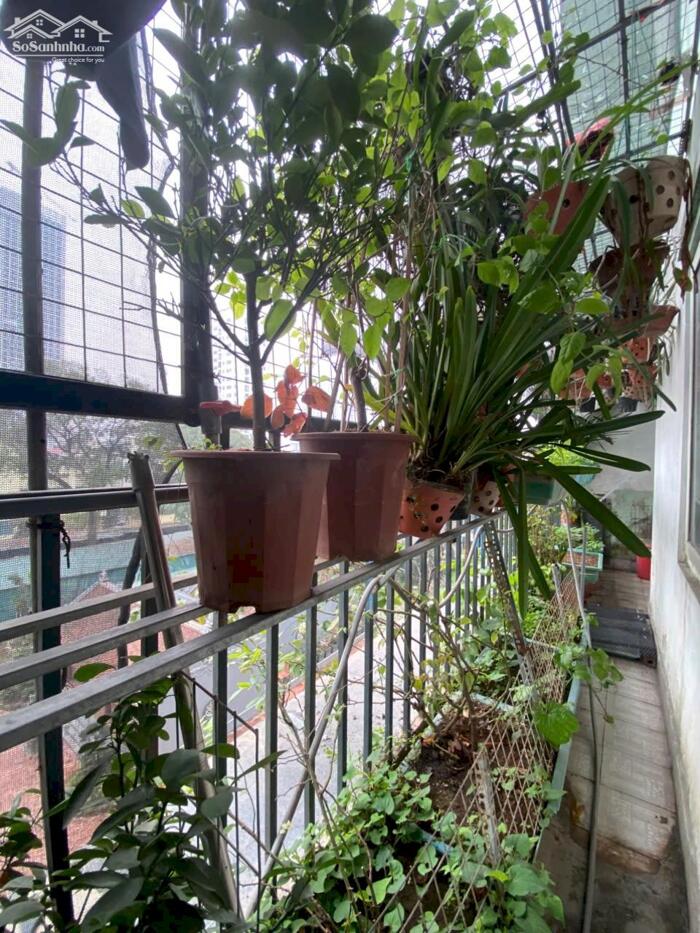 Hình ảnh cho thuê chung cư SDU 143 Trần Phú Hà Đông, 80m, 2 PN, đủ đồ 10 triệu 5