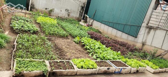 Hình ảnh Bán Gấp 77m2 Đất Tại Cổ Nhuế, Bắc Từ Liêm_MẶT NGÕ, MẶT TIỀN 5,5M, Giá Chỉ 12 tỷ TL 0