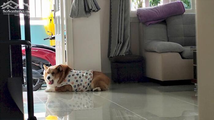 Hình ảnh Nhà giá rẻ, trung tâm Đà Lạt hẻm ô tô lớn 7