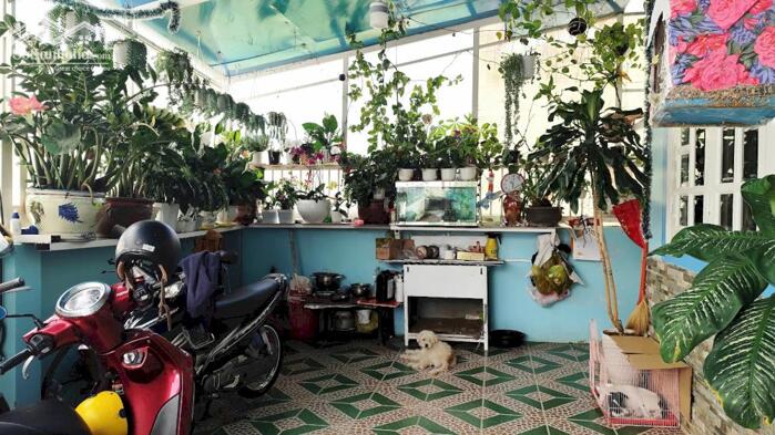 Hình ảnh Nhà giá rẻ, trung tâm Đà Lạt hẻm ô tô lớn 10