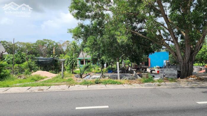 Hình ảnh 7x45(302m2) 100m2 Thổ Cư Nguyễn Chí Thanh Tân Bình Giá Ngộp 2