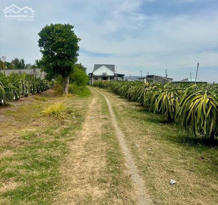 Hình ảnh Đất vườn Thanh long,View Suối-Hàm Minh-Hàm Thuận Nam-Gần QL1A,hướng Biển-6.500m2CLN 1