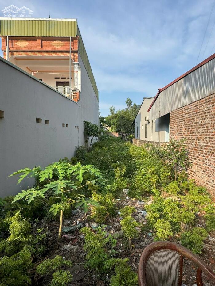 Hình ảnh Bán đất mặt đường 2B cũ, hữu thủ , Kim long . rẻ như đất trong làng. 2