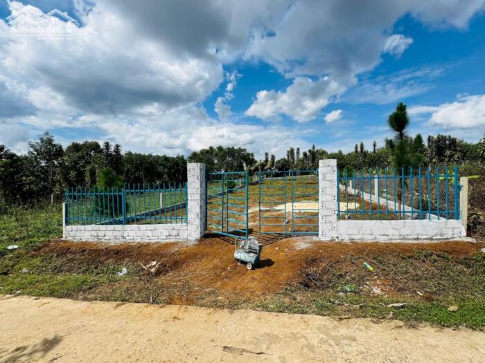 Hình ảnh Đất dt ở Bảo Lâm Bảo Lộc, giá ngộp 1