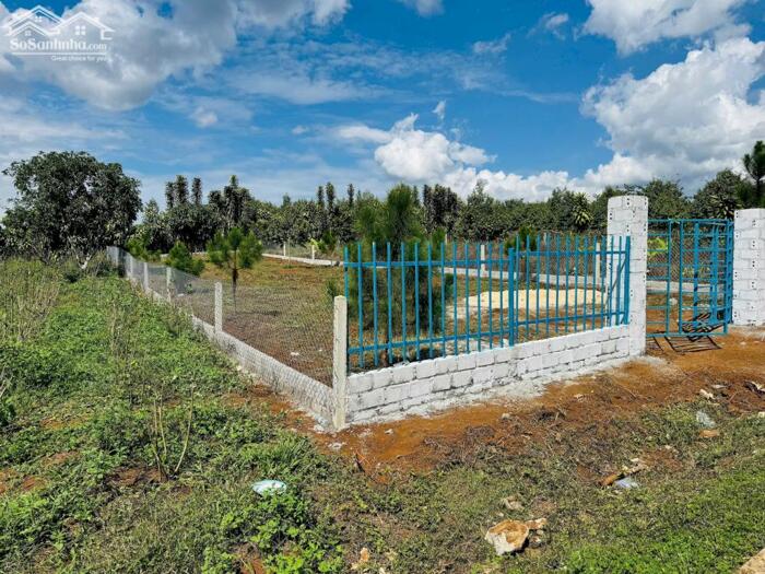 Hình ảnh Đất dt ở Bảo Lâm Bảo Lộc, giá ngộp 3