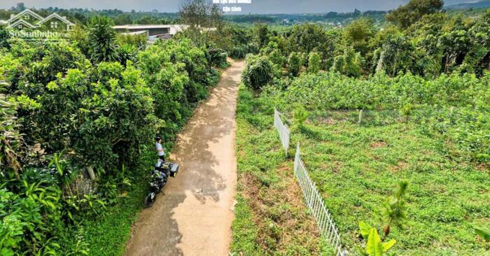 Hình ảnh Đất dt ở Bảo Lâm Bảo Lộc, giá ngộp 4