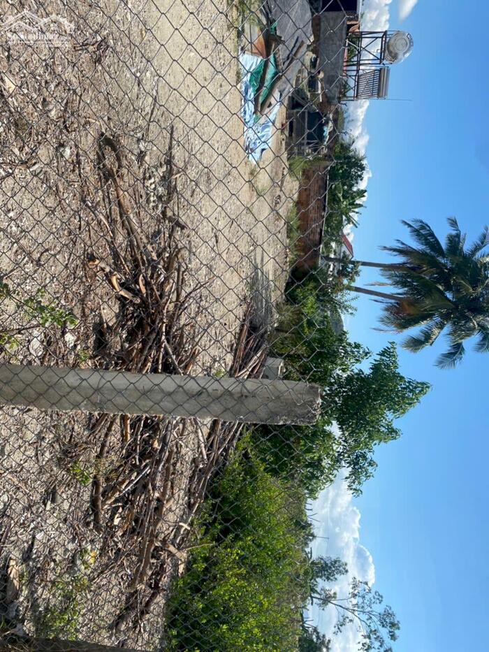 Hình ảnh CƠ HỘI SỞ HỮU ĐẤT GIÁ TỐT – GẦN KHU CÔNG NGHIỆP – THÍCH HỢP AN CƯ & ĐẦU TƯ 3