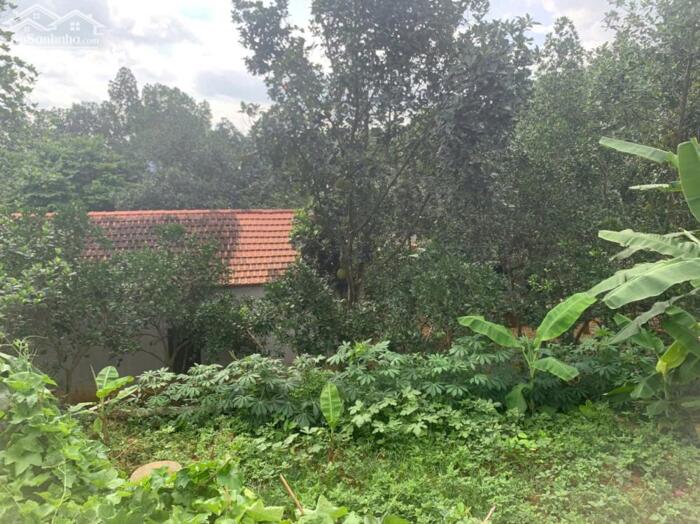 Hình ảnh Bán đất Tiên Phương, Chương Mỹ, Hà nội, cách QL6 - 600m, cách thị trấn chúc sơn 1,5 km. Diện tích 45m² 0