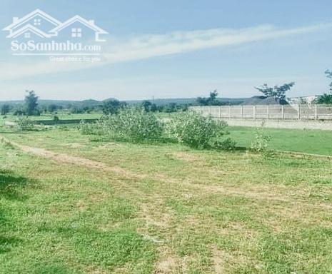 Hình ảnh Nhiều Đất vườn Novaworld-Phú Hưng-Hàm Mỹ-Gồm nhiều lô 1.000m2/1 lô 2