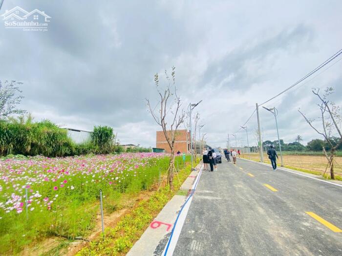 Hình ảnh Đất nền trung tâm Đức Trọng, Gần Sân bay, Ven Đà Lạt - Hạ tầng bài bản - Giá cực tốt 2