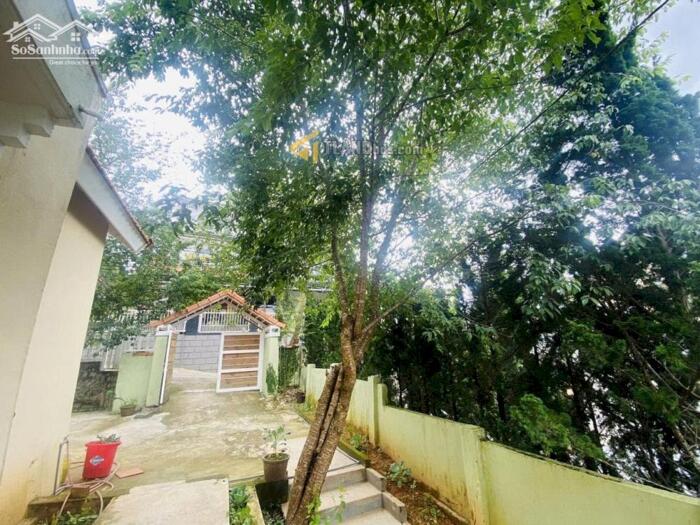 Hình ảnh Villa Đà Lạt, Villa đặt biệt dành cho khách hàng có tâm hồn nghệ sĩ, set up lại toàn bộ không gian 3