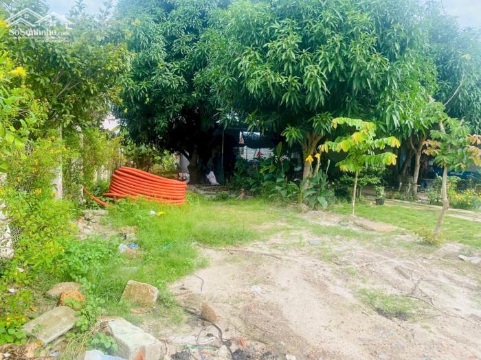 Hình ảnh 5x47(263m2) Nguyễn Văn Tỗi Trung Tâm LaGi Kinh Doanh Đa Ngành Nghề 1