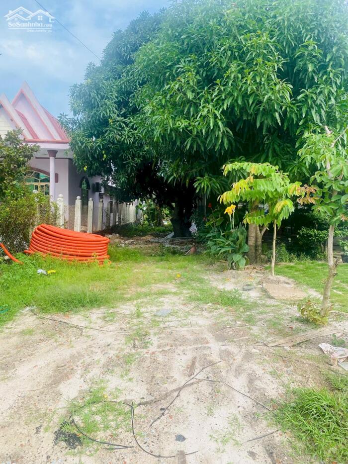 Hình ảnh 5x47(263m2) Nguyễn Văn Tỗi Trung Tâm LaGi Kinh Doanh Đa Ngành Nghề 0