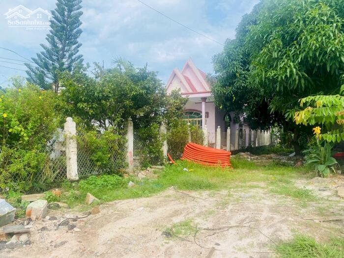 Hình ảnh 5x47(263m2) Nguyễn Văn Tỗi Trung Tâm LaGi Kinh Doanh Đa Ngành Nghề 3