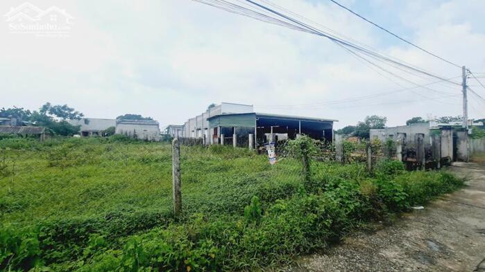 Hình ảnh bán đất thổ cư phường phước hội, lâm đồng. gần dự án 577, DT 195m2 - 1,1 tỷ 0