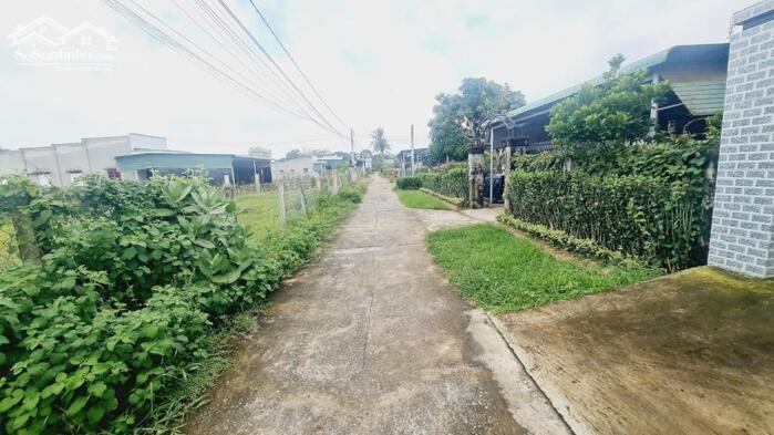 Hình ảnh bán đất thổ cư phường phước hội, lâm đồng. gần dự án 577, DT 195m2 - 1,1 tỷ 3