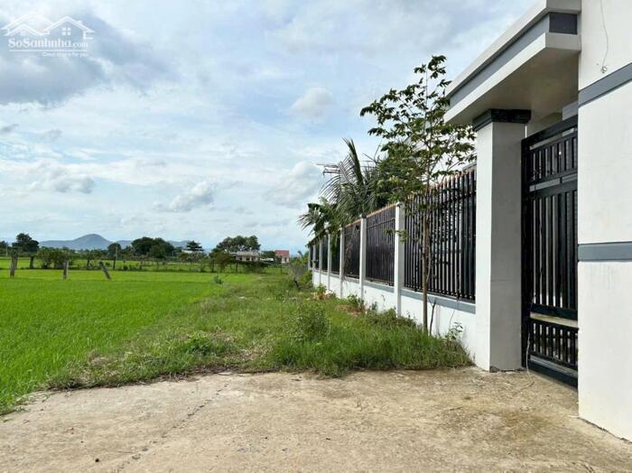 Hình ảnh Bán đất ma lâm hàm thuận bắc 4,1 sào đường ô tô 1