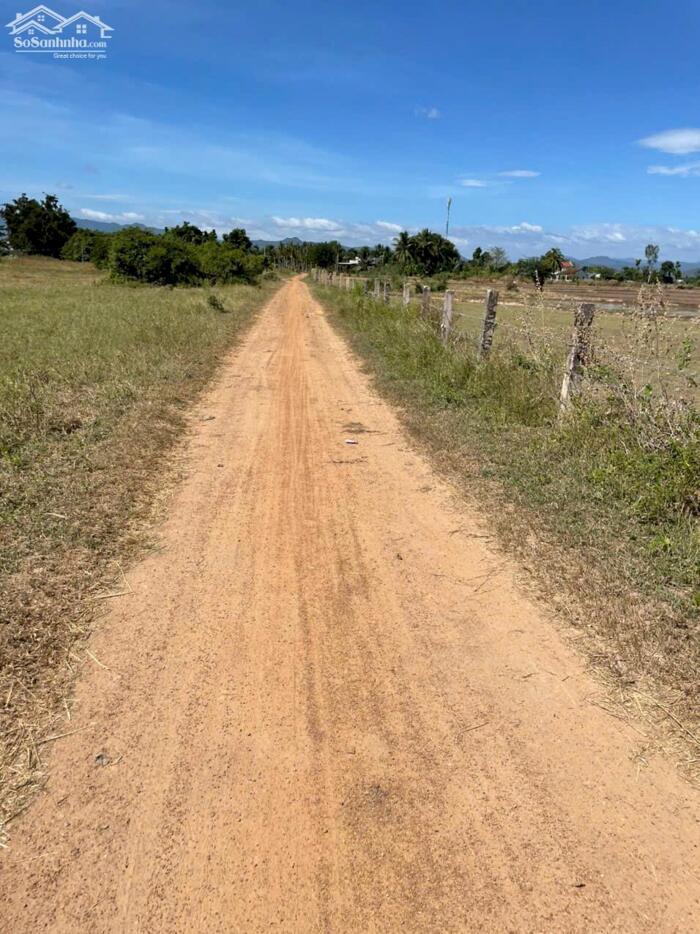 Hình ảnh Bán đất ma lâm hàm thuận bắc 4,1 sào đường ô tô 4