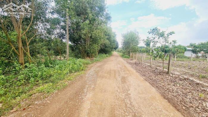 Hình ảnh bán gấp 103x115(12110m2) đất ngay KCN Sơn Mỹ, Hàm Tân, Bình Thuận. có 400m2 thổ cư, giá rẻ 3