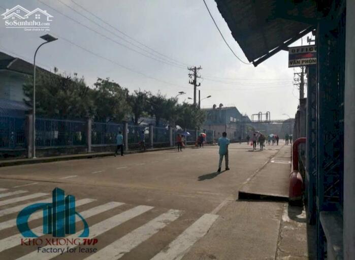 Hình ảnh Cho Thuê 2000 m2 & 3000 m2 XƯỞNG Tân Uyên PCCC Tự Dộng , Đường Cont , Giấy Tờ đầy đủ 5