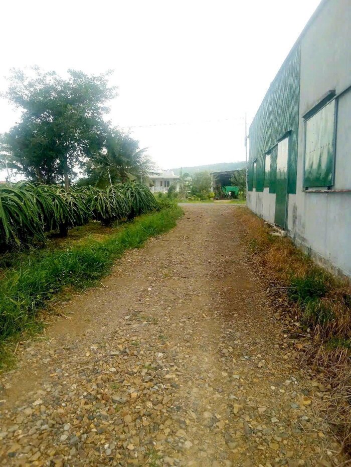 Hình ảnh Đất Sào gần bên QL1A-Hàm Minh-Hàm Thuận Nam-DT 19.200m2( 4 thửa LK) 1