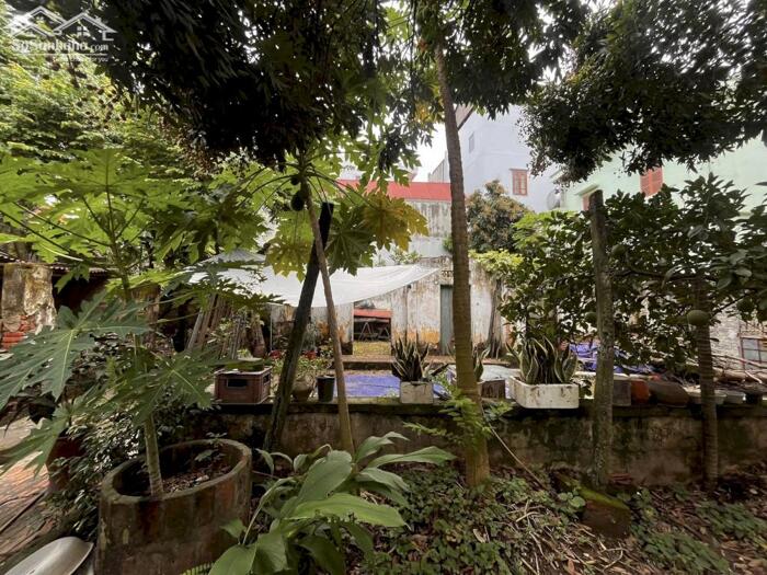 Hình ảnh Đất Vàng Phố Huế 130M2 MT 8M 58 Tỷ Đường Ô TÔ Tránh Kinh Doanh 1