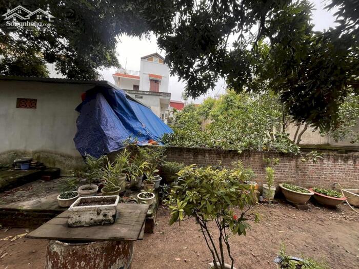 Hình ảnh Đất Vàng Phố Huế 130M2 MT 8M 58 Tỷ Đường Ô TÔ Tránh Kinh Doanh 2