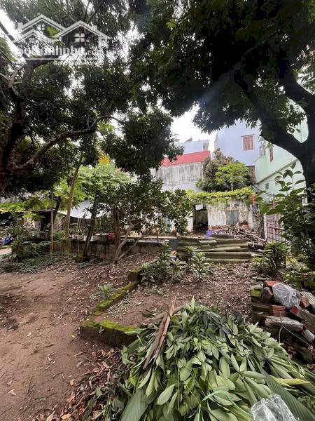 Hình ảnh Đất Vàng Phố Huế 130M2 MT 8M 58 Tỷ Đường Ô TÔ Tránh Kinh Doanh 3