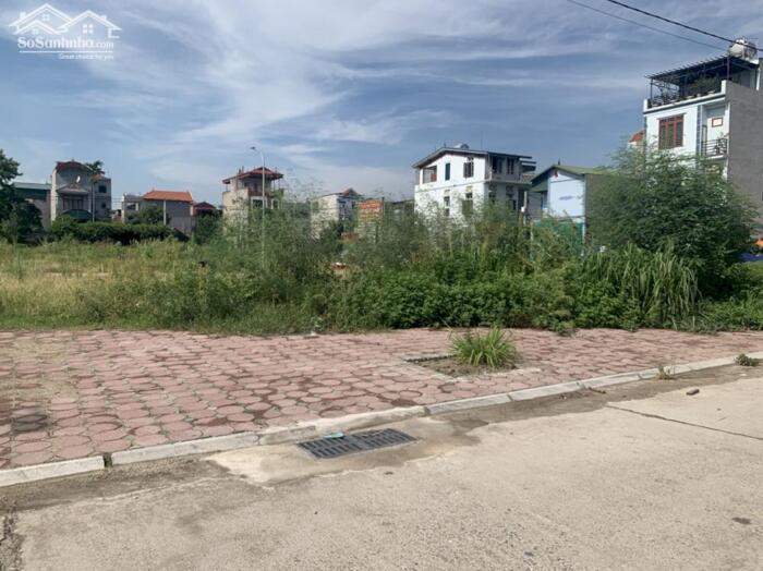 Hình ảnh Rất cần tiền bớt ngay 1 tỷ cho khách thiện chí 90m đấu giá làng Cam Cổ Bi chỉ 11,5 tỷ đồng giá đầu tư cực tốt 1