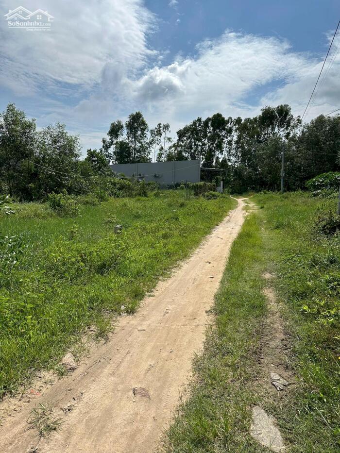 Hình ảnh 111m2 P LaGi Gần Biển Giá Chỉ 600 TRiệu Cực Rẻ 1