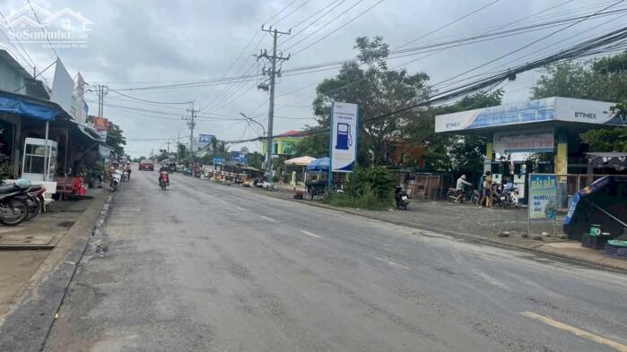 Hình ảnh 2 công đất vườn cây trái sẵn, ôtô, cần bán gần Chợ Tân Thành, Gò Công Đông, Tiền Giang 0