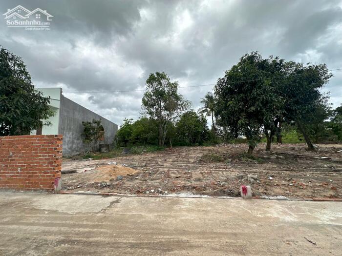 Hình ảnh 5X20(101m2) Hẻm Lý Thái Tổ Tân Tiến LaGi Cách Biển Chỉ 1,4km Giá Chỉ 650 Triệu 3