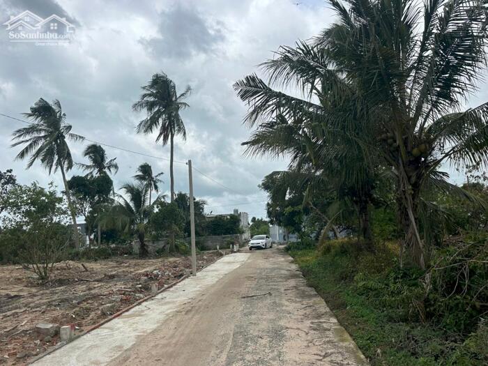 Hình ảnh 5X20(101m2) Hẻm Lý Thái Tổ Tân Tiến LaGi Cách Biển Chỉ 1,4km Giá Chỉ 650 Triệu 0