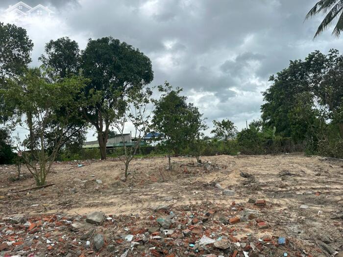 Hình ảnh 5X20(101m2) Hẻm Lý Thái Tổ Tân Tiến LaGi Cách Biển Chỉ 1,4km Giá Chỉ 650 Triệu 2