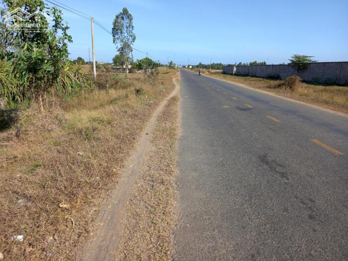 Hình ảnh Đất mặt tiền 31m DT707-Xã Tuyên Quang(Hàm Mỹ cũ)-Lâm Đồng-DT 1.490m2 1