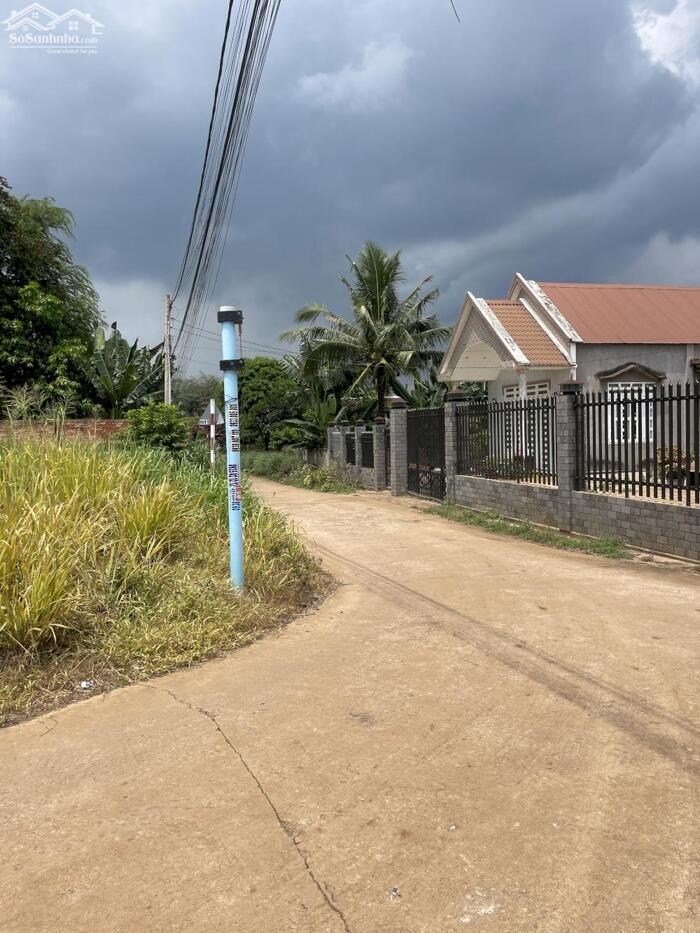 Hình ảnh Cần Tiền Bán lỗ Vốn 119m2, Sổ Riêng Thổ Cư,Tại Thanh Bình, Trảng Bom 2